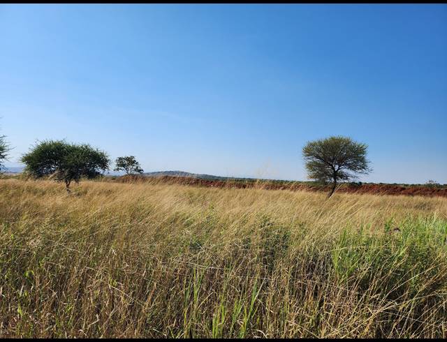 8.50HA VACANT LAND FOR SALE IN DALMADA AH
